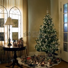 室内的圣诞树