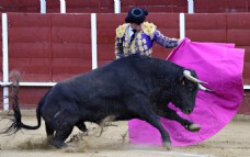 西班牙斗牛士