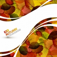 秋天背景秋天美丽的叶子主题背景矢量免费