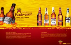 PSD百威啤酒产品画册封面素材下载