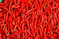 蔬菜饮食红辣椒背景图片
