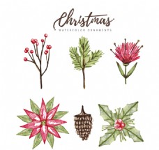 6款水彩绘圣诞植物矢量素材