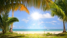 海洋风光夏季清新蓝天海洋沙滩椰子树风光