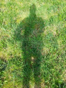 草地上的影子