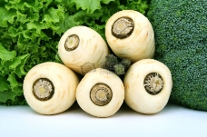 健康蔬菜健康的生菜芦笋和白色防风蔬菜