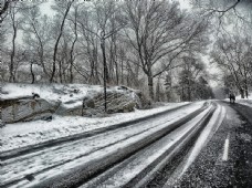 树林里落雪的公路