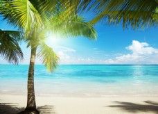 海边风景绿色海边椰子树风景图片