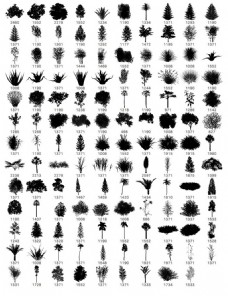 139种植物树木小草草丛灌木图形PS笔刷素材下载