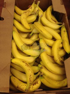 箱子里的香蕉们