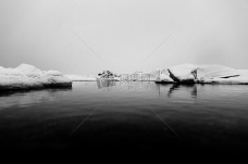 冷冰山冰岛雪黑色和白色冰湖冰河湖
