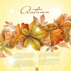 秋天背景设计素材图片