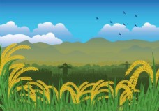 绿化景观自由稻田插图