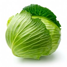 绿色蔬菜卷心菜图片