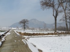 奶奶山冬景图片