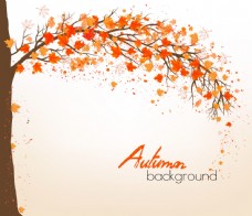 潮流素材秋天枫树背景设计素材图片