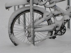 被大雪覆盖的自行车