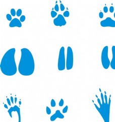 熊脚印动物脚印