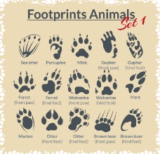 熊脚印15款动物脚印设计矢量图