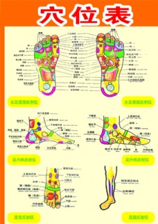 腳的穴位圖片免費下載,腳的穴位設計素材大全,腳的穴位模板下載,腳的