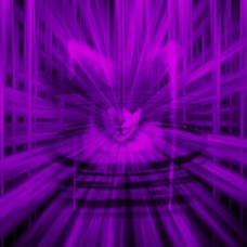 紫陌空间