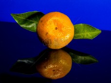 放在桌面的柑橘