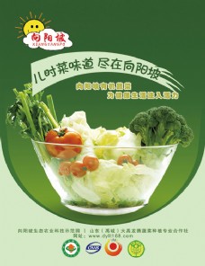向阳坡蔬菜宣传海报PSD素材