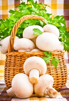 蘑菇与青菜背景图片