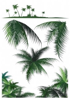 绿色叶子绿色椰子树矢量图
