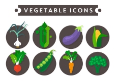 健康饮食蔬菜矢量图标