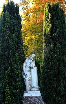 一个美丽的雕像在花园
