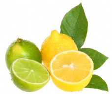 柠檬与橙子图片