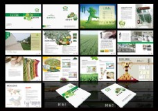 绿色蔬菜面条画册设计PSD素材