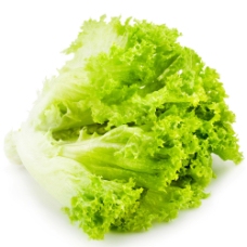 绿色蔬菜新鲜的生菜图片