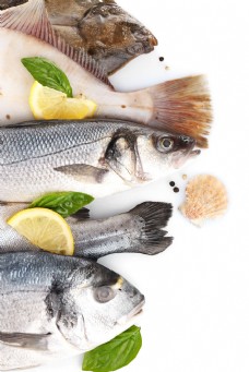 柠檬片和海鱼图片