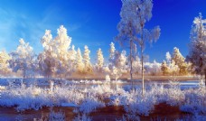 冬天风景摄影