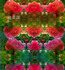 蔷薇花特效炫彩视频背景