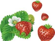绿色叶子草莓