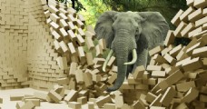 地产广告艺术3D大象