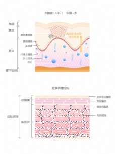 水脂膜皮肤砖墙结构细节图