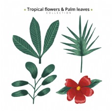 手工绘制热带花卉和棕榈树