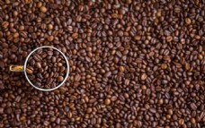 咖啡杯咖啡豆子图片素材
