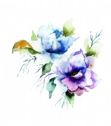 水彩蓝花