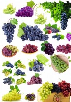 进口蔬果水果葡萄
